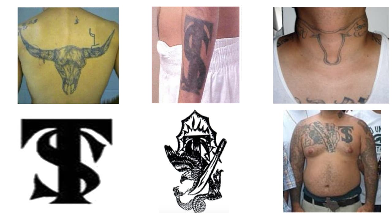 2. El 
<b>Texas Syndicate </b>es un grupo formado en California. Se considera peligroso por sus lazos con los carteles mexicanos. En el 2015 se calculaba que tenía 3,500 integrantes.