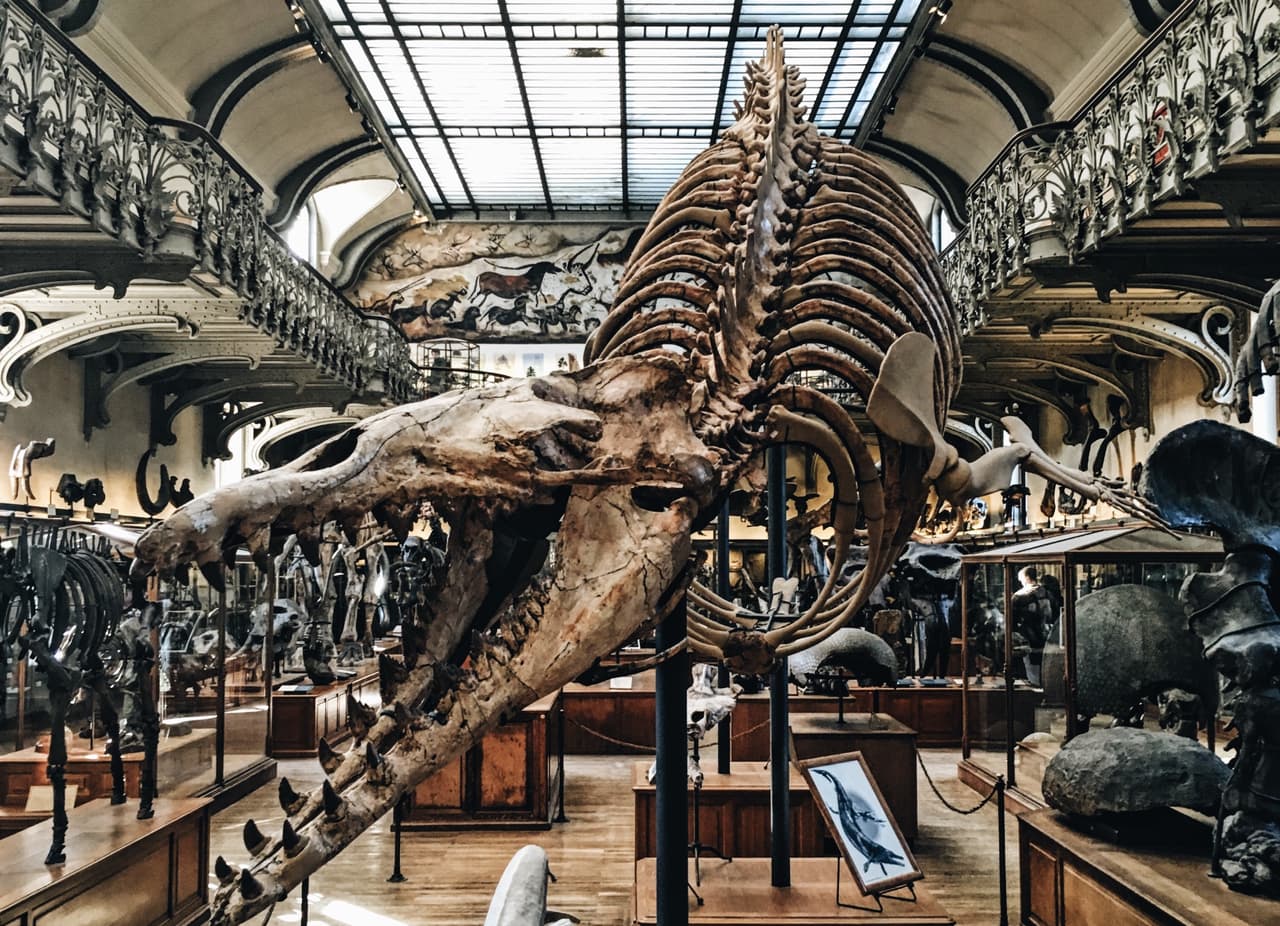 <b>Museo de Niños (Chicago Children's Museum): </b>Este museo ofrece exhibiciones divertidas, clases de arte gratuitas, y demostraciones en vivo.