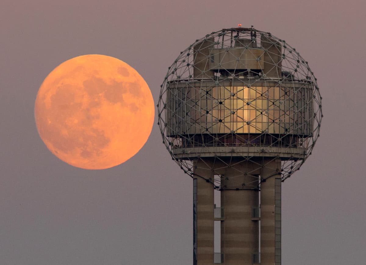 The Super Moon alongside Reunion Tower in downtown Dallas, Sunday evening, November 13, 2016. It will be appear to be larger and brighter in the night sky than it has in nearly 70 years because the point of its orbit is closest to Earth. The last time it passed this close was Jan. 26, 1948. (Tom Fox/The Dallas Morning News)