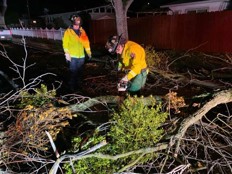 Así afecta la tormenta al Área de la Bahía: apagones, caída de árboles y declaraciones de emergencia 