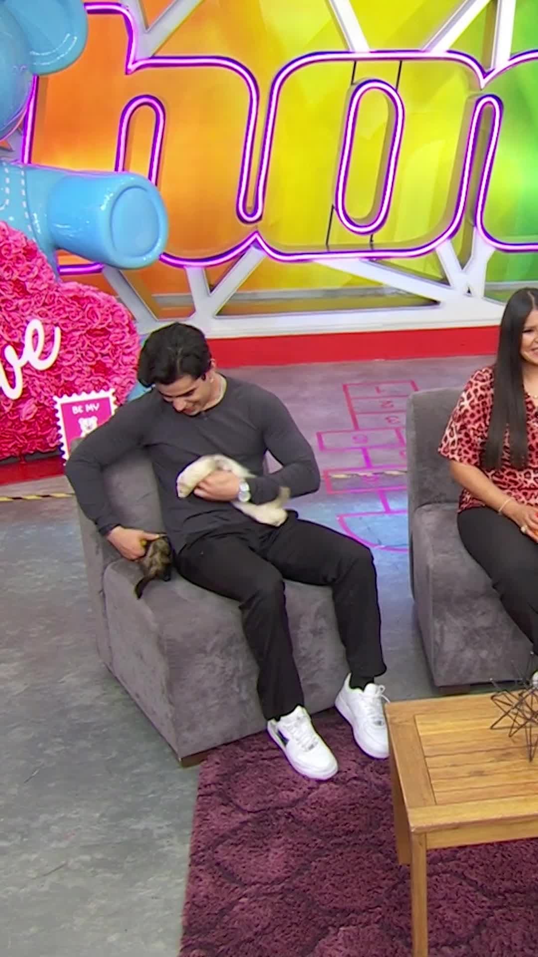 Aarón Mercury se ENAMORA de los hurones