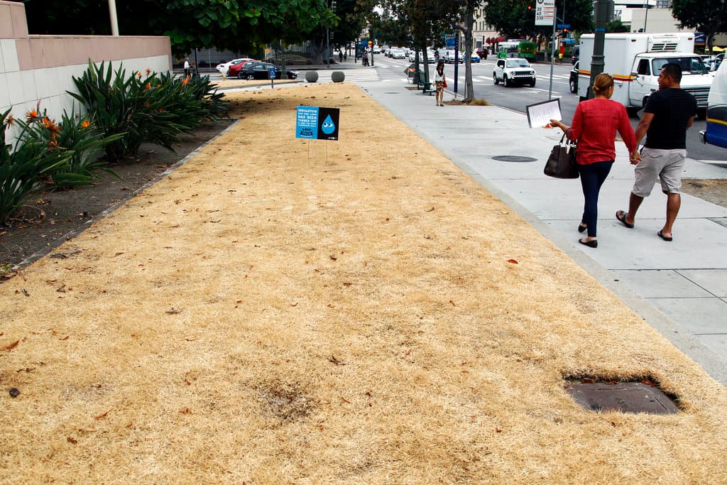 Funcionarios del MWD dijeron que la restricción se aplicará a sus agencias cuyos clientes dependen en gran medida de suministros de agua estatal.