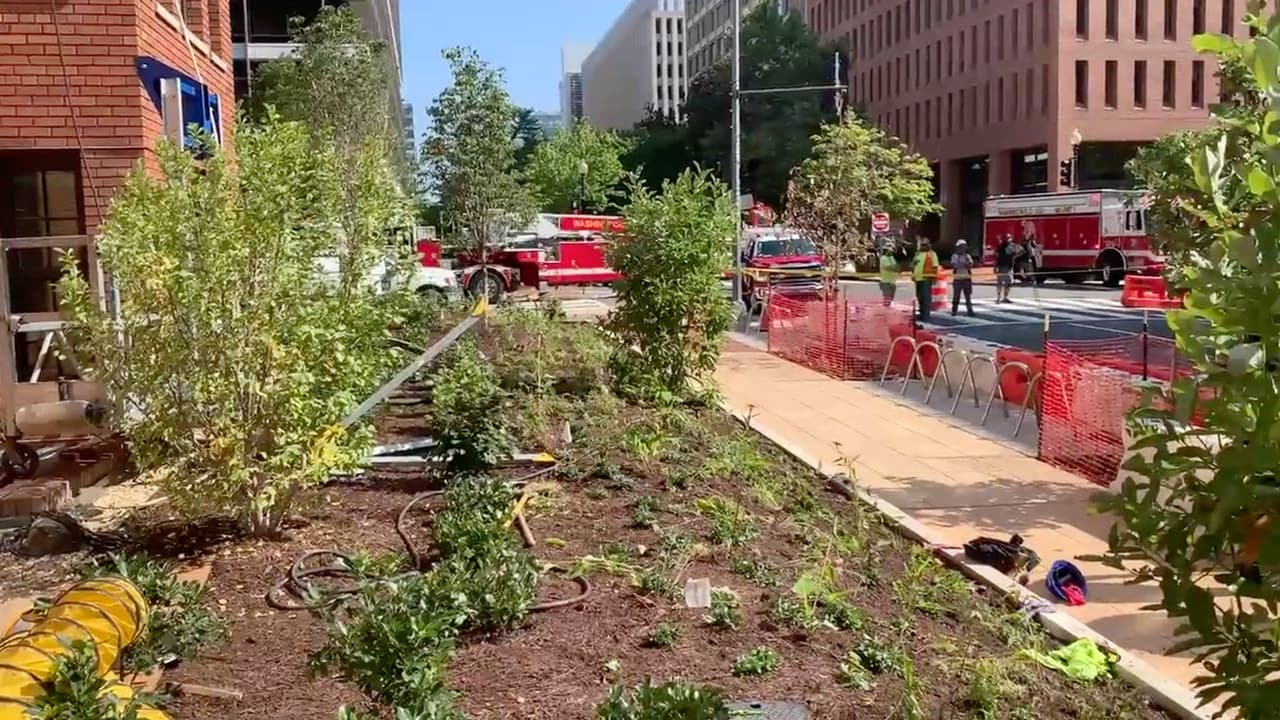 Trabajadores de construcción son rescatados tras inhalar químicos en residencia universitaria