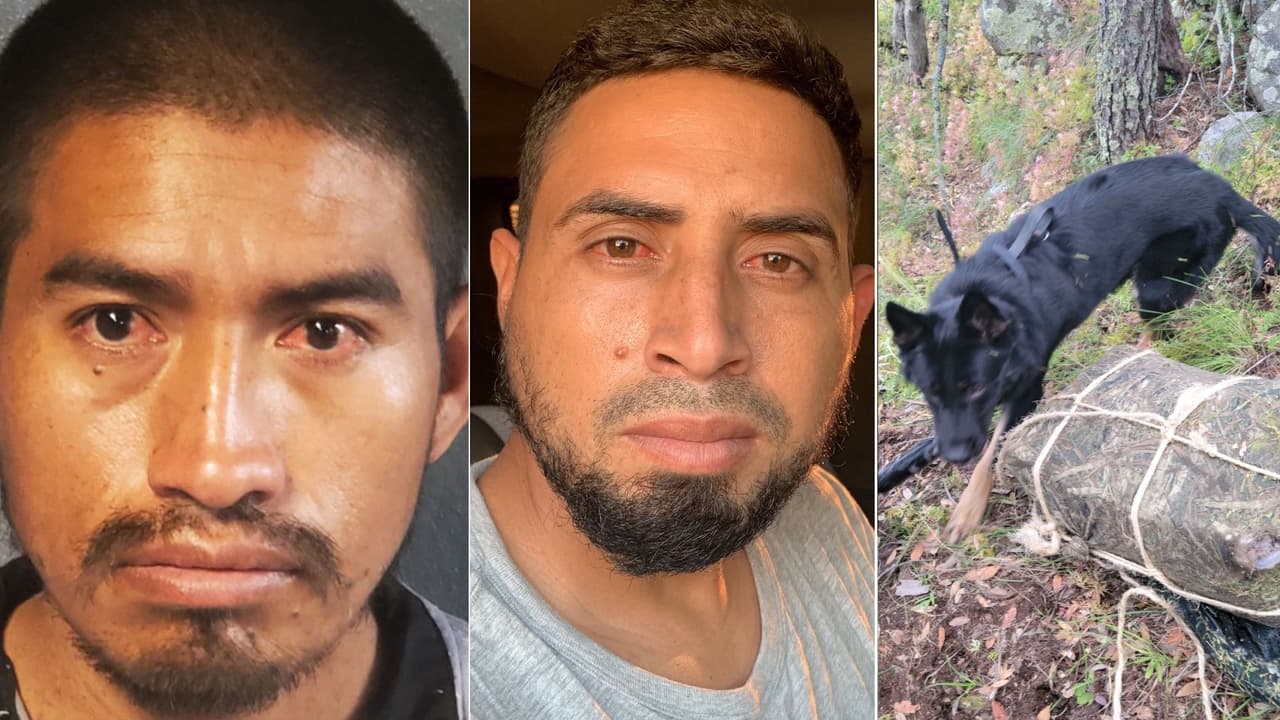 Dos indocumentados con antecedentes, incautaciones de drogas y grupos masivos, así ha sido la actividad fronteriza en los últimos días en la frontera de Arizona.