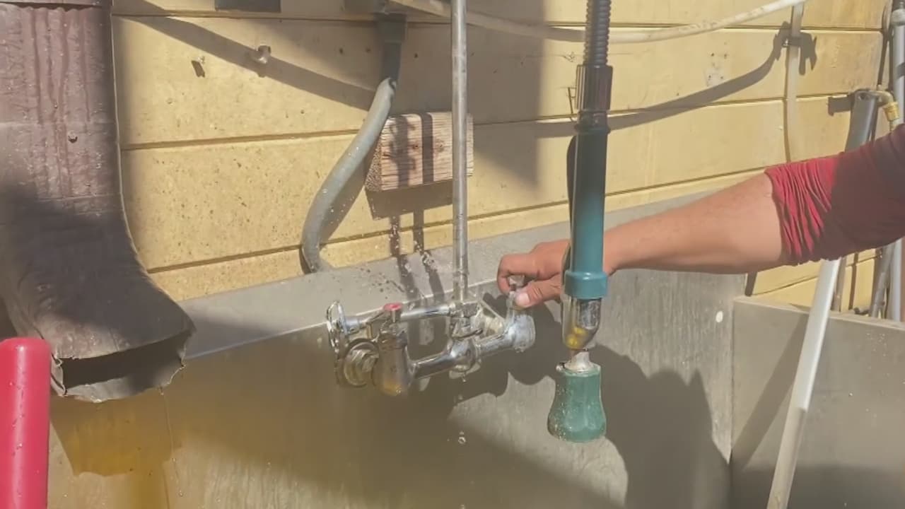 Aunque la mayoría de los 
<b><a href="https://www.univision.com/local/houston-kxln/ercot-termina-emergencia-de-energia">texanos ya recuperaron el servició de electricidad,</a></b> muchos se enfrentar ahora a problemas de fugas de agua y tuberías congeladas. Un plomero comparte algunas estrategias para revisar los conductos y para reparar una fuga en caso de una emergencia.
<br>