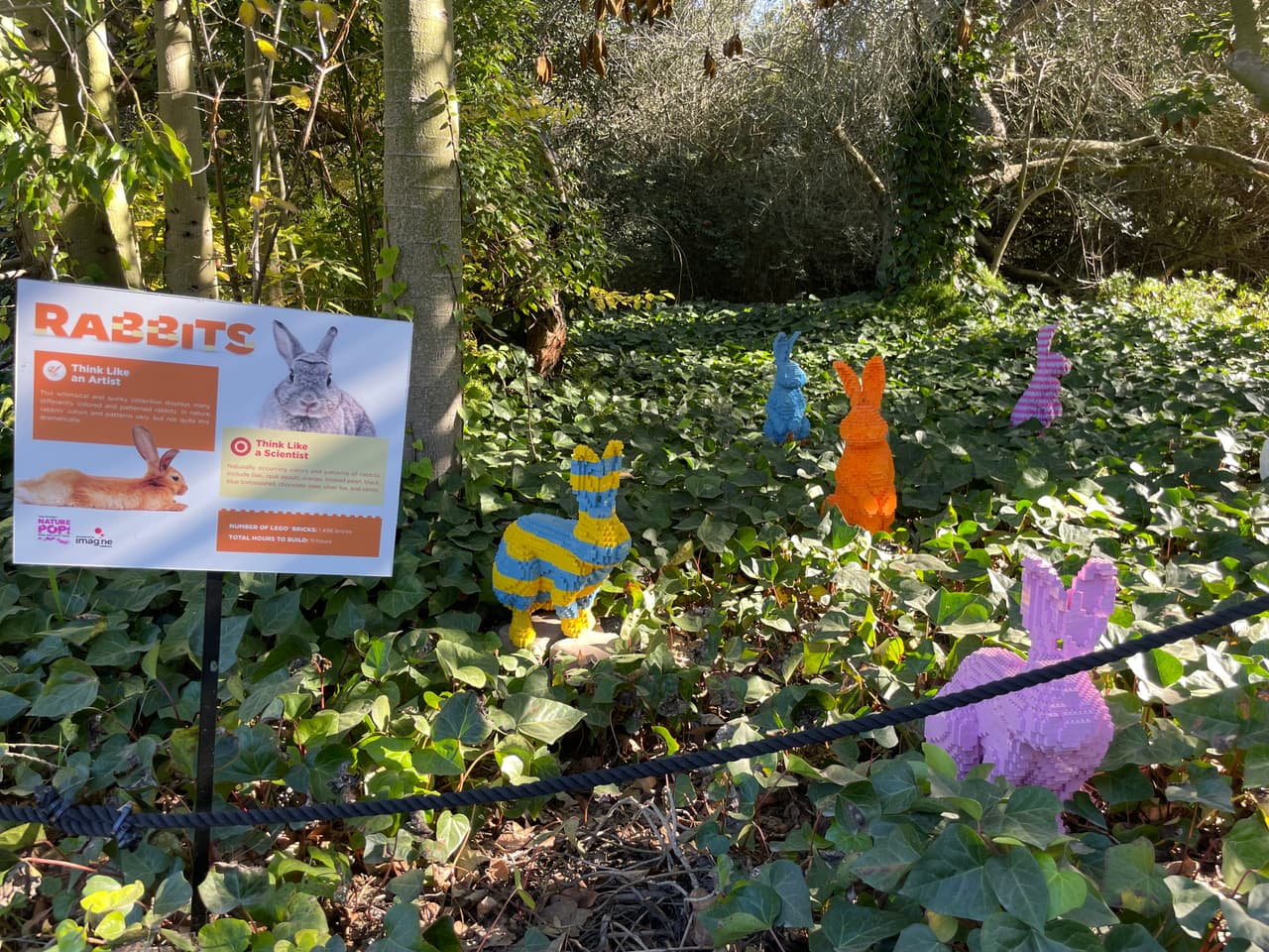 Este es un grupo de conejos de diferentes colores que representa la variedad de conejos que existen. 
<br>
<b>Número de piezas de LEGO: 1,496</b>
<br>
<b>Horas de construcción: 11</b>