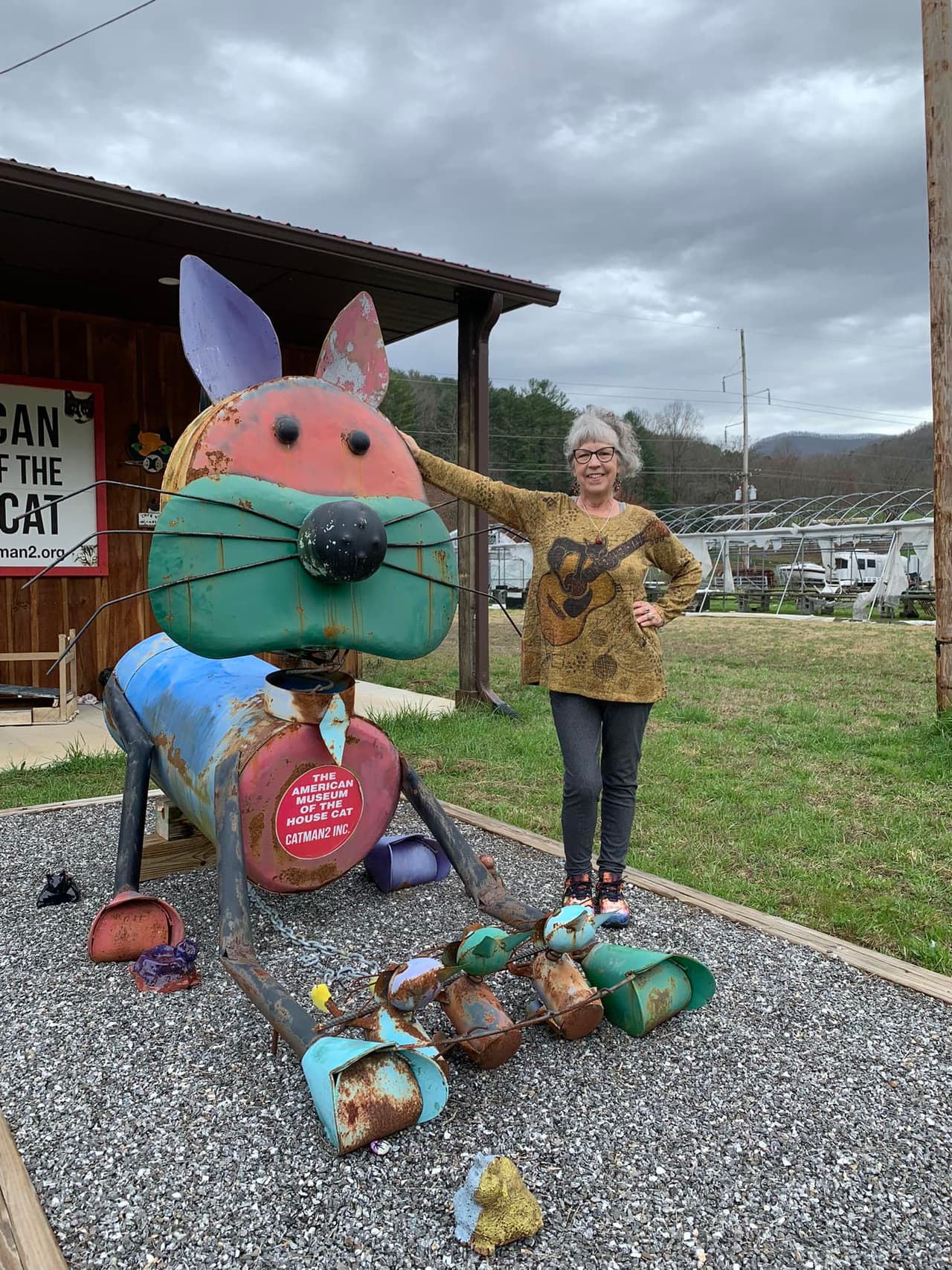 <b><a href="https://www.wnccatmuseum.org/?_ga-ft=1aFVMA.0.0.0.0.P8GdXW-1PsMHQO.0.0">American Museum of the House Cat (Sylva)</a></b>. El museo presenta miles de artefactos que rinden homenaje a los adorables gatos. Aprende de la historia de los gatos domésticos desde las estatuas del antiguo Egipto hasta la publicidad moderna, y ayuda a mantener uno de los refugios para gatos más grandes del estado mientras lo haces. 
<br>
<br>
<b><a href="https://goo.gl/maps/k5Mi1ytMufZsH8qh7">Cómo llegar</a></b>