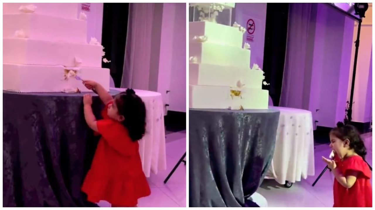 Niña arruina pastel de boda antes de partirlo y causa debate en TikTok: quería una probadita