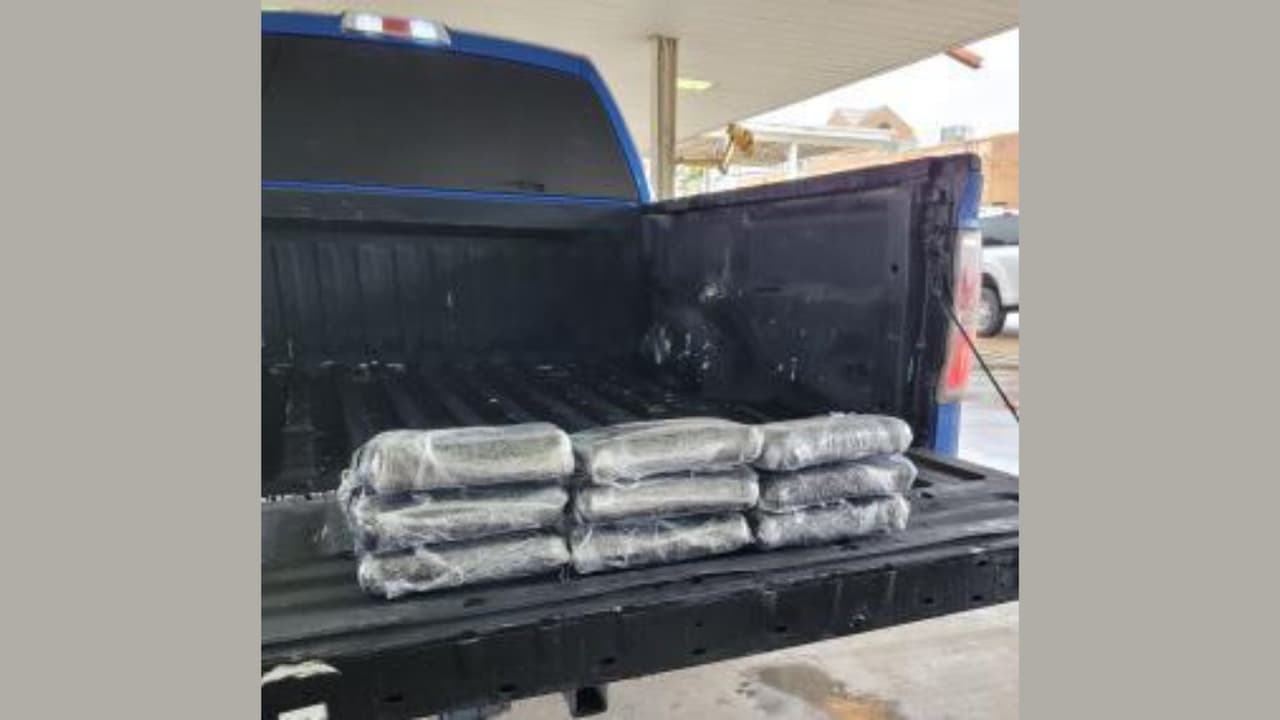 Localiza perro policía 495 mil dólares en cocaína oculta en vehículos que buscaban cruzar la frontera