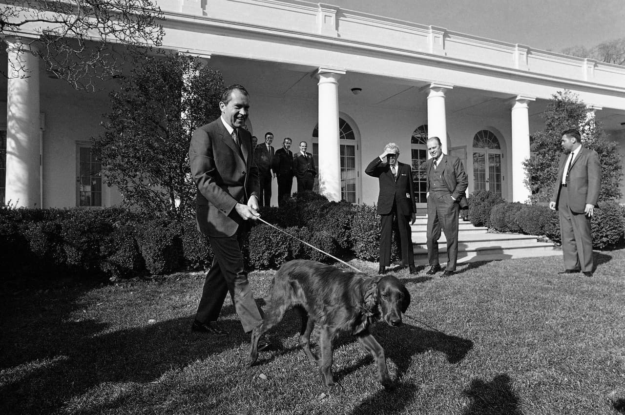 Richard Nixon llevando al
<i>Irish Sette</i>r 'Tim' por el Jardín de las Rosas de la Casa Blanca. El sucesor de Johnson tuvo cuatro perros y renunció a la presidencia en 1974.