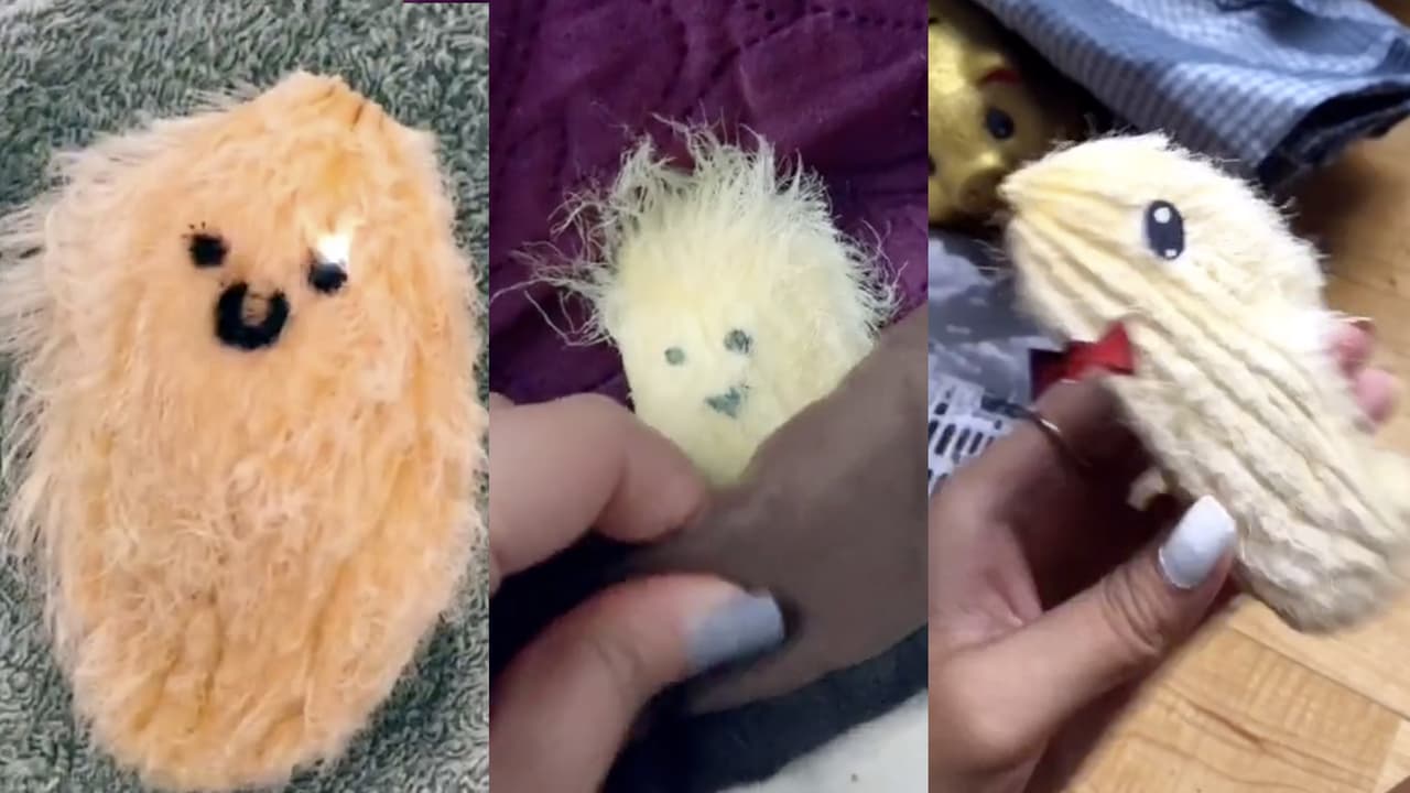 Huesito de mango: La nueva mascota 'peludita' que aman los jóvenes en China