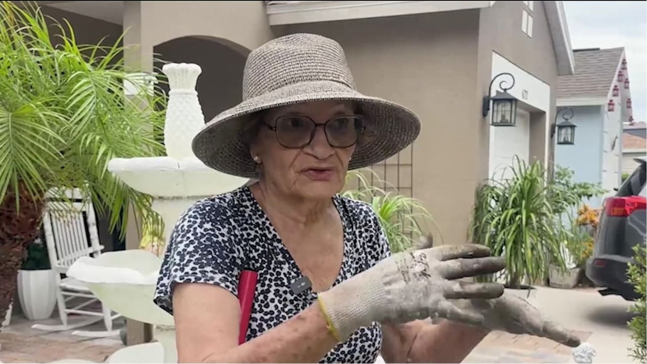 Alerta por dengue en Florida: Residentes de Tampa toman medidas de prevención ante el brote