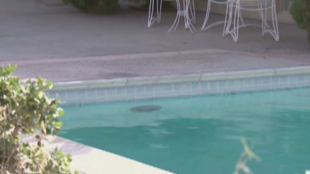 La investigación continúa.