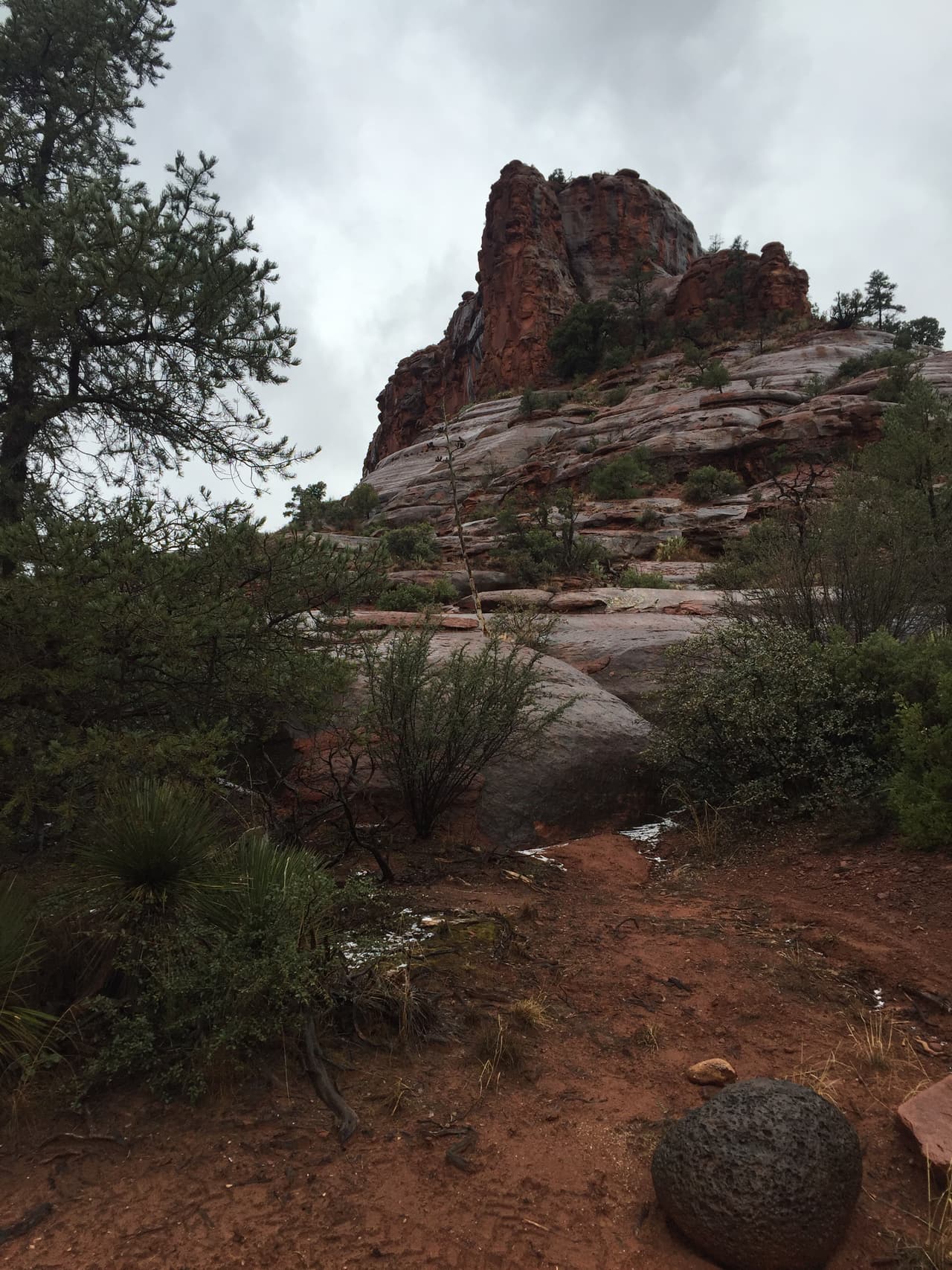 Las tormentas han dejado cubiertas de nieve las hermosas formaciones rocosas de Sedona.