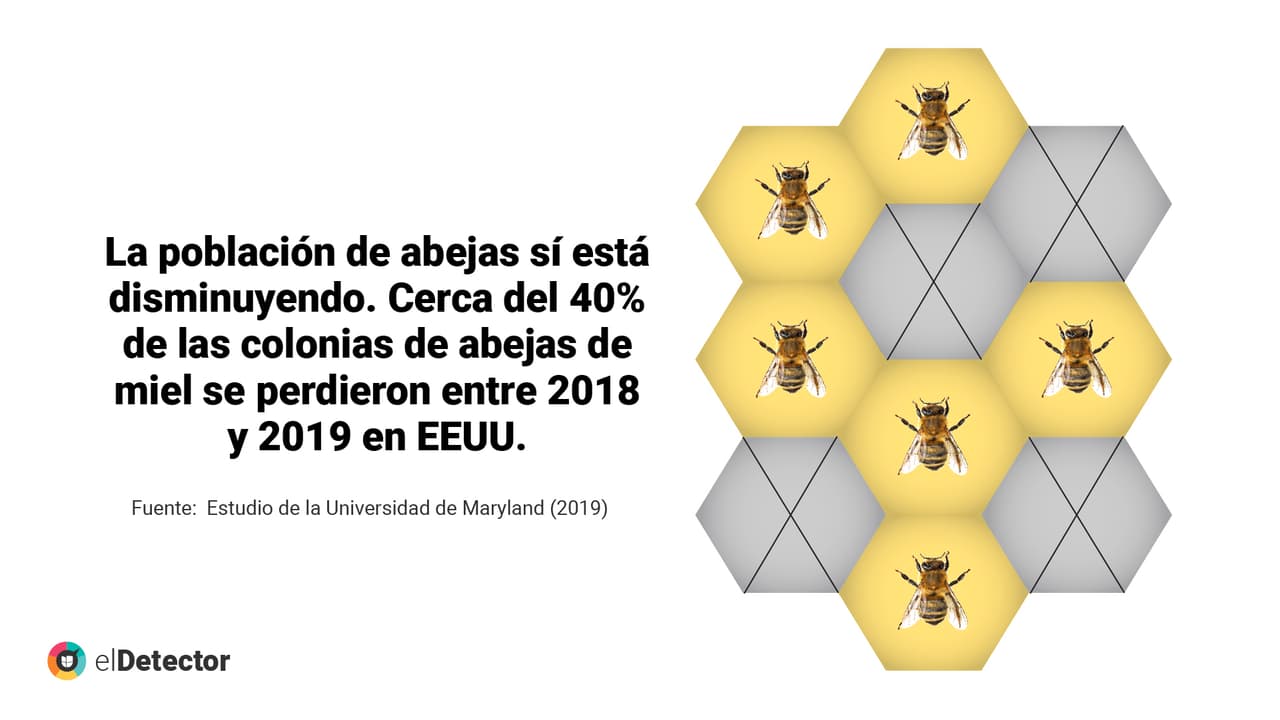 <a href="https://www.univision.com/noticias/diamundialabejas-no-evidencias-humanidad-acaba-4-anos-si-desaparecen-abejas-pero-mundo-si-cambiaria" target="_blank">Lee aquí</a> la verificación completa de
<b> elDetector.</b>