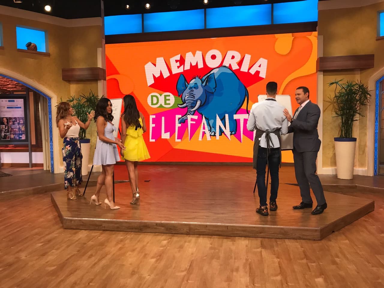 La hora de los juegos llegó y descubrimos 
<b><a href="http://www.univision.com/shows/despierta-america/quienes-tienen-memoria-de-elefante-ellas-o-ellos-lo-descubrimos-en-este-divertido-juego-video">quién tiene memoria de elefantes, ¿ellas o ellos?</a></b>