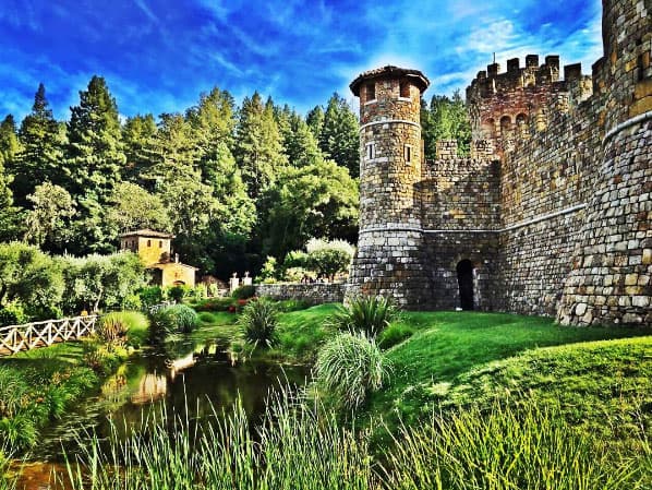 Esta historia mostrará las bellezas naturales de Napa Valley, donde se encuentran los viñedos de una importante marca de vino.