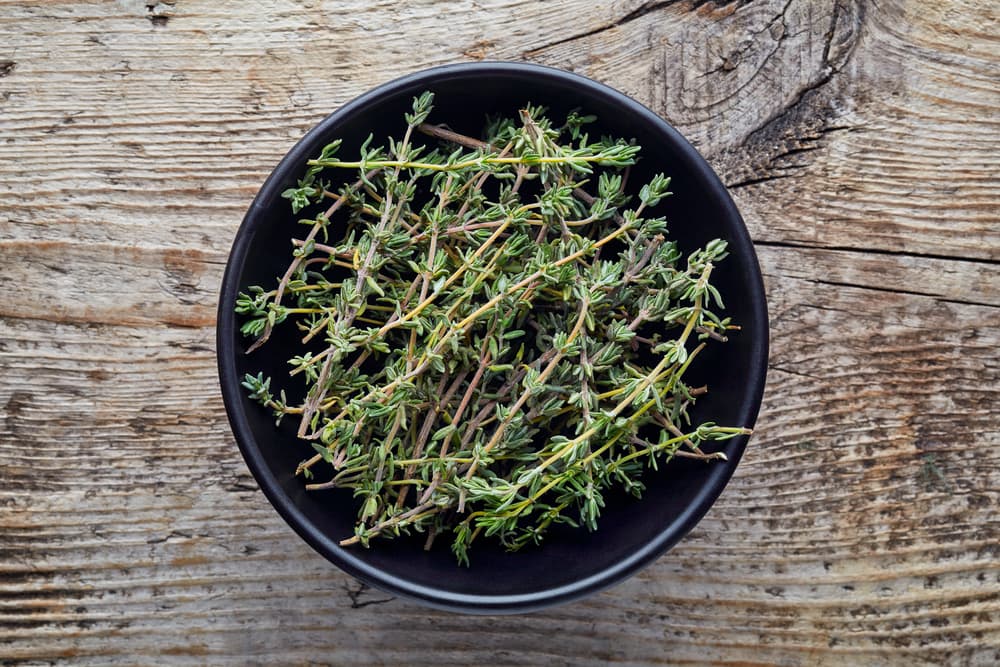 Los romanos fueron quienes más tarde lo introdujeron en la cocina, perfumando vinos y quesos, y siglos después apareció en Europa donde varias culturas del Mediterráneo comenzaron a usarlas dentro del esoterismo. Se creía que si colocabas la planta en un rincón de tu casa, alejaba las tormentas eléctricas que destruían las aldeas.