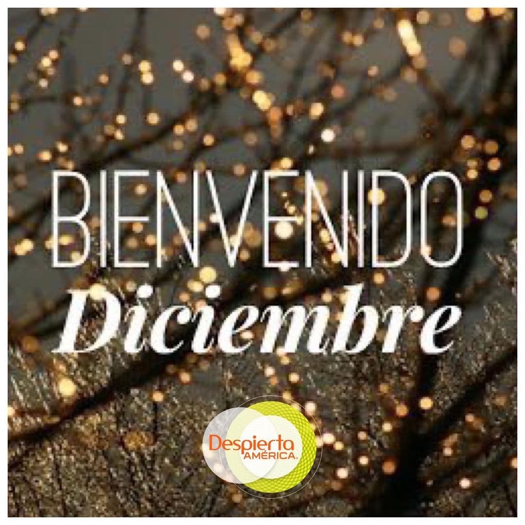 Sin embargo, diciembre le pone un nuevo toque de esperanza a nuestros días, y viste las casas y las calles de un color único de la época.