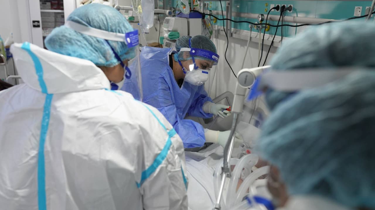 Variante JN.1 del coronavirus: lo que debemos saber sobre las pruebas caseras y la precisión de sus resultados