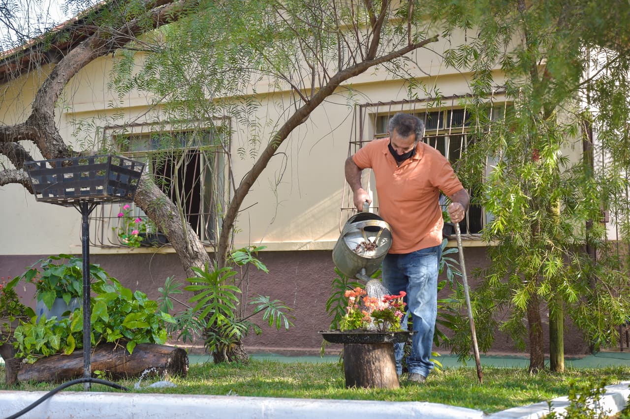 Según expertos, 
<i>el riego lento y profundo es mejor</i>, incluso mejor en un sistema de goteo para regular la cantidad. 
<br>