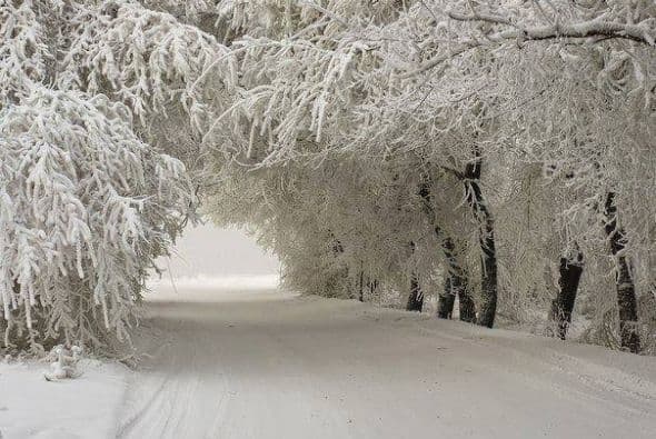 Otra imagen digna de una postal, tomada por Abrahams Bonilla, desde Long Island.