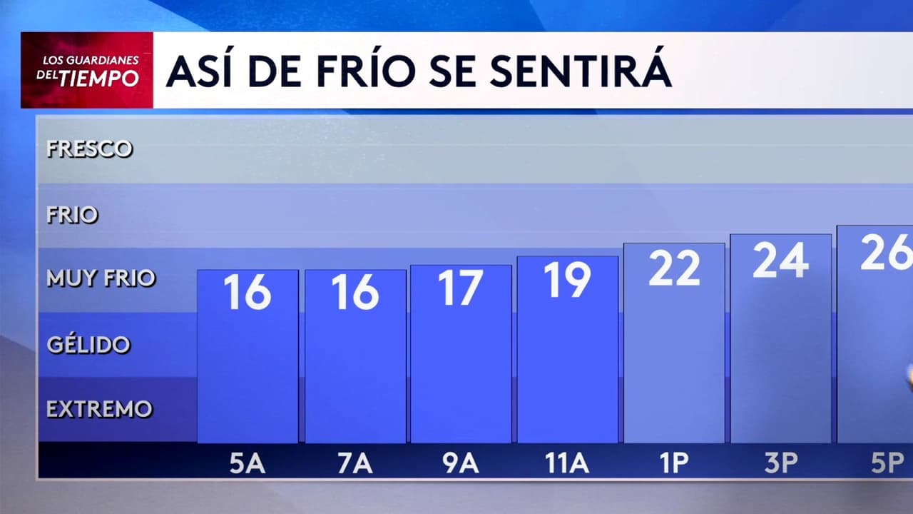 Pronóstico del tiempo hoy en Nueva York: advertencia de ventisca; El termómetro alcanzará 26 °F