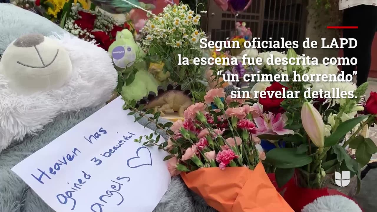 Detalles en la carta que Liliana Carrillo envió a un juez antes del asesinato de sus hijos