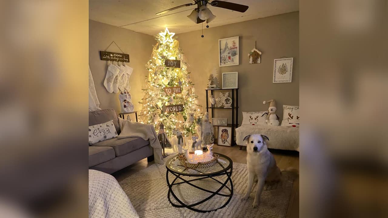 "Estamos listos", escribió Esmme De Aguilar, quien también incluye a la mascota de la familia.