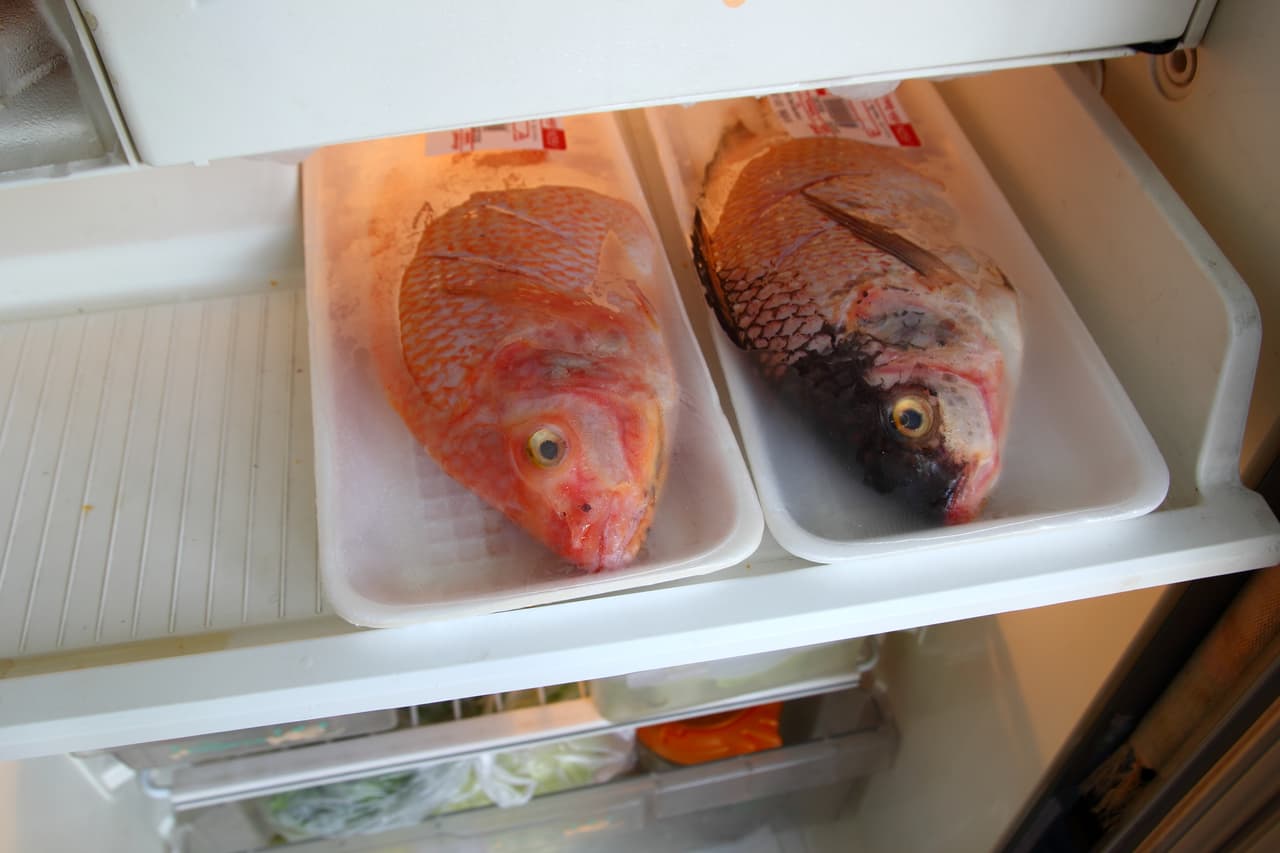 Guarda el pescado en el refrigerador inmediatamente después de comprado bien sea en la nevera (si será consumido en menos de dos días después de la compra) o dentro del freezer (envuelto en papel de plástico o aluminio).
<br>