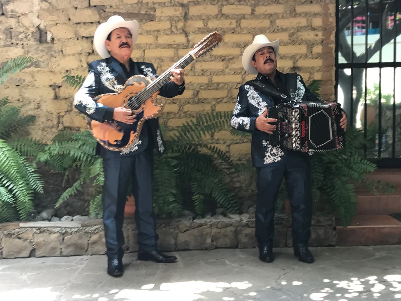 'Me gana la impaciencia por tu amor, quisiera ser el dueño de tus besos, mi cuerpo pide a gritos, dice te necesito, mi niña quiero que estés conmigo", es parte de la letra de la canción.