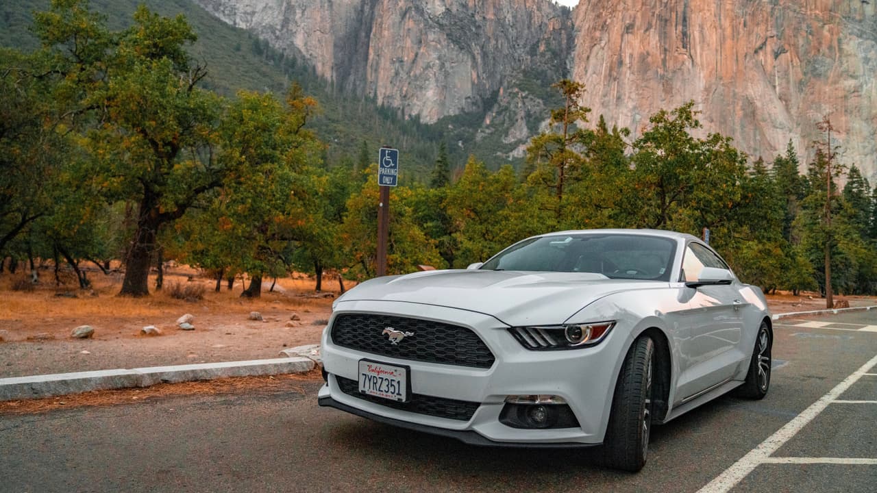 <h3 class="cms-H3-H3">18. Ford </h3>
<br>
<b>Costo promedio por 10 años de mantenimiento: 9,100 dólares</b>
<br>La marca más vendida en Estados Unidos se sitúa en la parte intermedia del listado, lo que era de esperarse dada la gran variedad de vehículos que comercializa. Ford fabrica desde vehículos tan simples como el Ford Fiesta, hasta máquinas tan complejas y exigentes como los Shelby Mustang y la F-150 Raptor.
<br>
<br>Lo anterior sin embargo, también puede decirse de la marca menos costosa de mantener. Sigan leyendo.