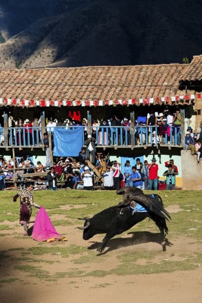 Sin embargo, los indios no suelen permitir que los animales luchar por mucho tiempo debido a la muerte o lesiones del cóndor se interpreta como un signo de la desgracia de la comunidad.