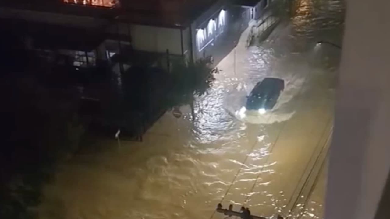 Árboles caídos, techos derrumbados y más daños por fuertes vientos en Fort Worth