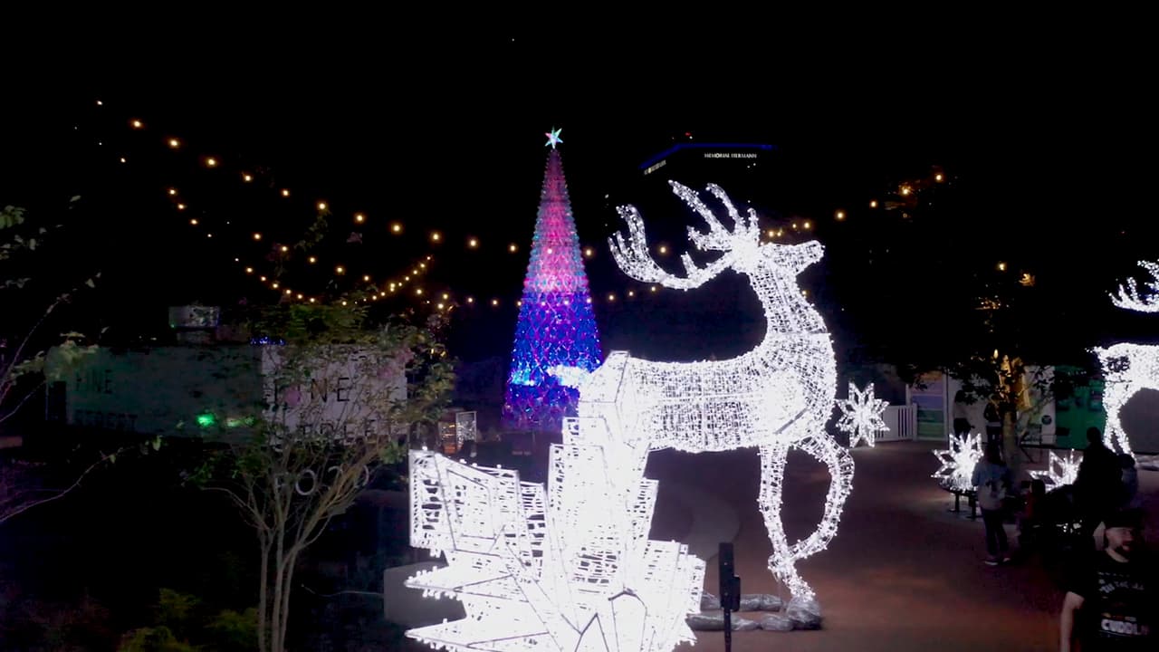 Los boletos cuestan lo mismo para niños y adultos: menores de 2 años entran gratis. Para más información sobre el recorrido visita la página de internet del Zoologico de Houston.