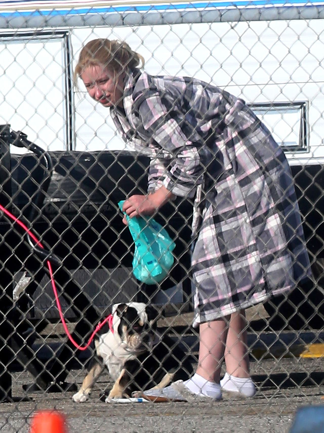 Los cambios de apariencia de Iggy son extremos, por eso es una de las candidatas ideales para animar la noche de Halloween con esa apariencia.