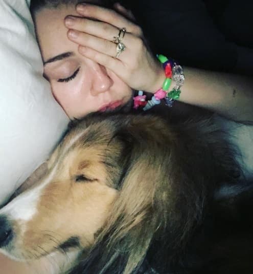 Cuando el desprecio y la infidelidad de los hombres hacen sufrir a Miley, o cuando las severas críticas sobre su comportamiento terminan por deprimirla, Miley se refugia en sus cachorros.