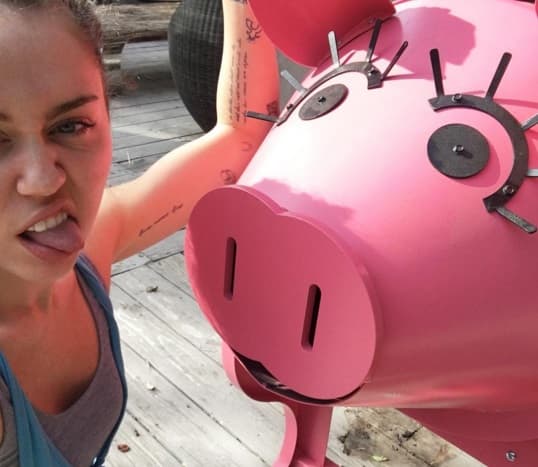 Miley no deja de ser notica, y esta vez las mcosas llegaron muy lejos.