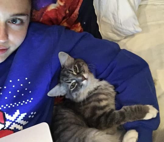 Hasta quye no lo aclare, seguiremos viendo a cada uno de estos felinos como responsables de su ataque.