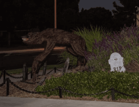 El Chupacabras: la leyenda urbana que aterrorizó a los mexicanos en los años 90
<br>