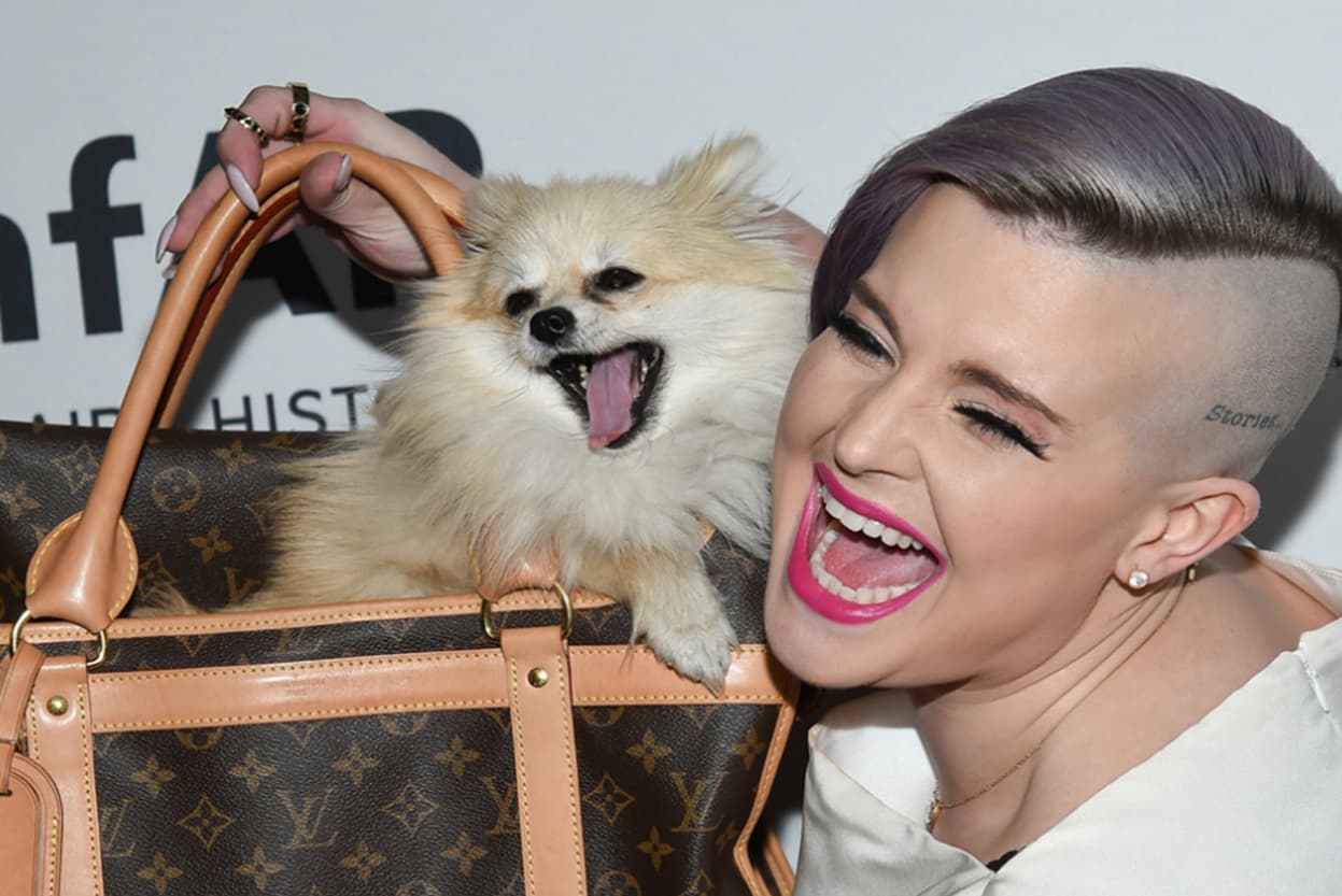 <b>Kelly Osbourne</b> tiene a Polly, una perrita pomerania.