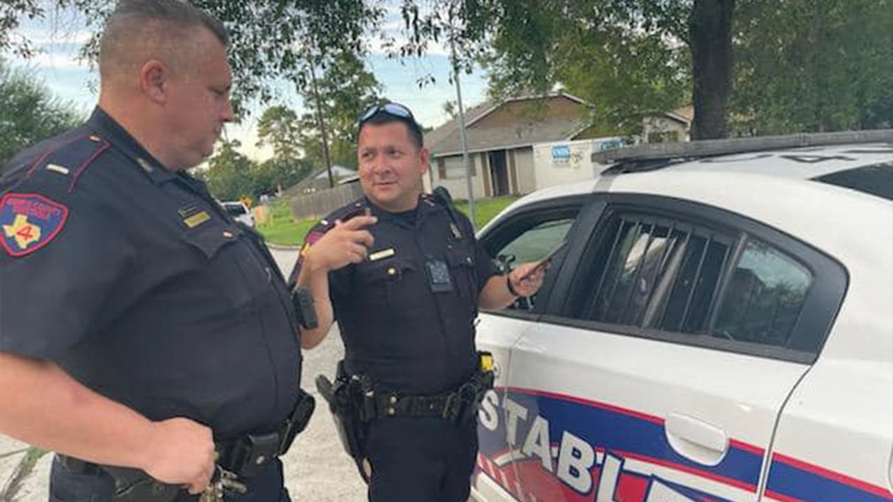 Oficiales tuvieron que meter a los perros en una patrulla a la espera de la unidad de control animal.