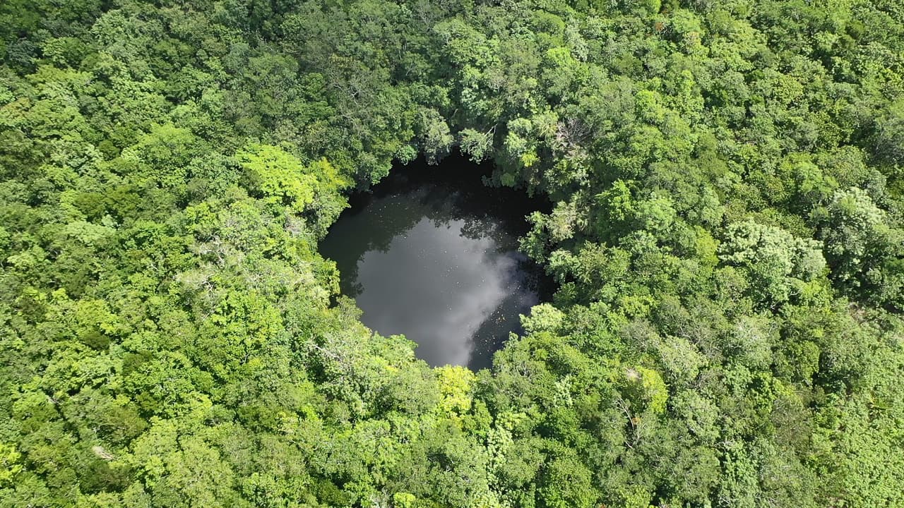 Vista aérea de un cenote, un cuerpo de agua parecido a un pozo que se alimenta a través de conexiones subterráneas que se extienden por la región. Eran considerados sagrados por los ancestros de los mayas. Tizimín es la localidad que reúne la mayor cantidad de cenotes en el país, tiene 369 de 3,001. En este municipio Enerall fue acusado de dañar al menos uno de estos espejos de agua.