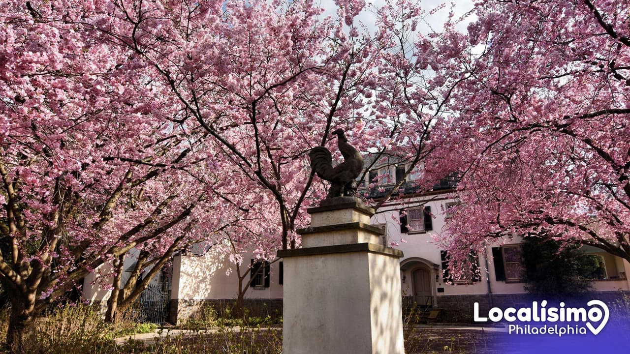 Así son los mejores jardines botánicos que podrás visitar en Pensilvania en 2023