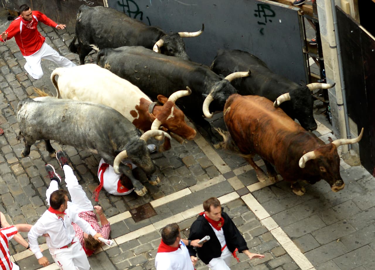 Según los ambientalistas que se oponen a esta actividad, los toros que se emplean en los encierros son criados en campos donde están mayoritariamente encerrados, a oscuras y sin ruido. La intención de esas condiciones es que cuando salen a las calles de la ciudad estos se incomodan por la aglomeración de personas y bullicio ocasionado por estos y corren erráticamente.
<br>Fotografía del
<b> 10 de julio de 2017</b> /ANDER GILLENEA/ AFP/ Getty
