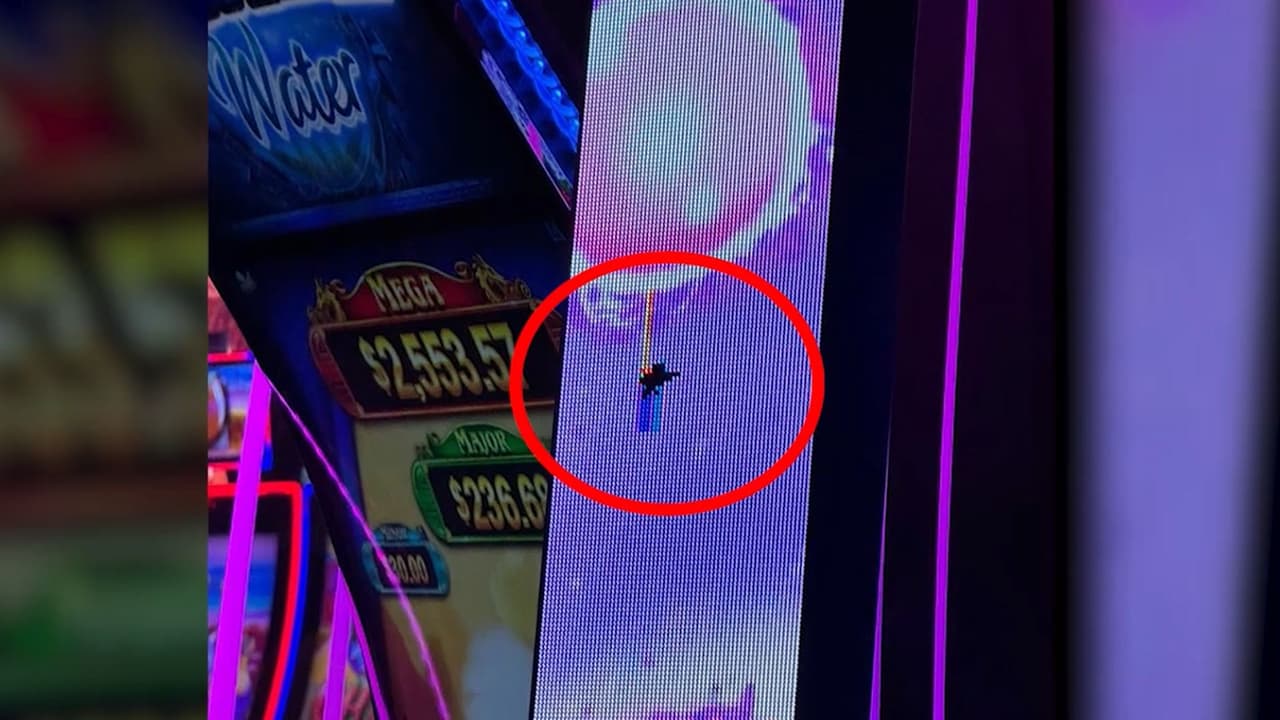 Entre las imágenes que quedaron de la escena, se observa 
<b>una máquina tragamonedas con un impacto de bala</b> en la pantalla. 
<br>
<br>Adentro y afuera del casino se vivieron momentos de angustia, cuando los asistentes intentaban ponerse a salvo o ayudar a las personas heridas.