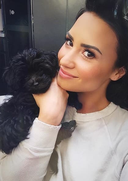 Las selfies con esta adorable mascota son sus favoritas.