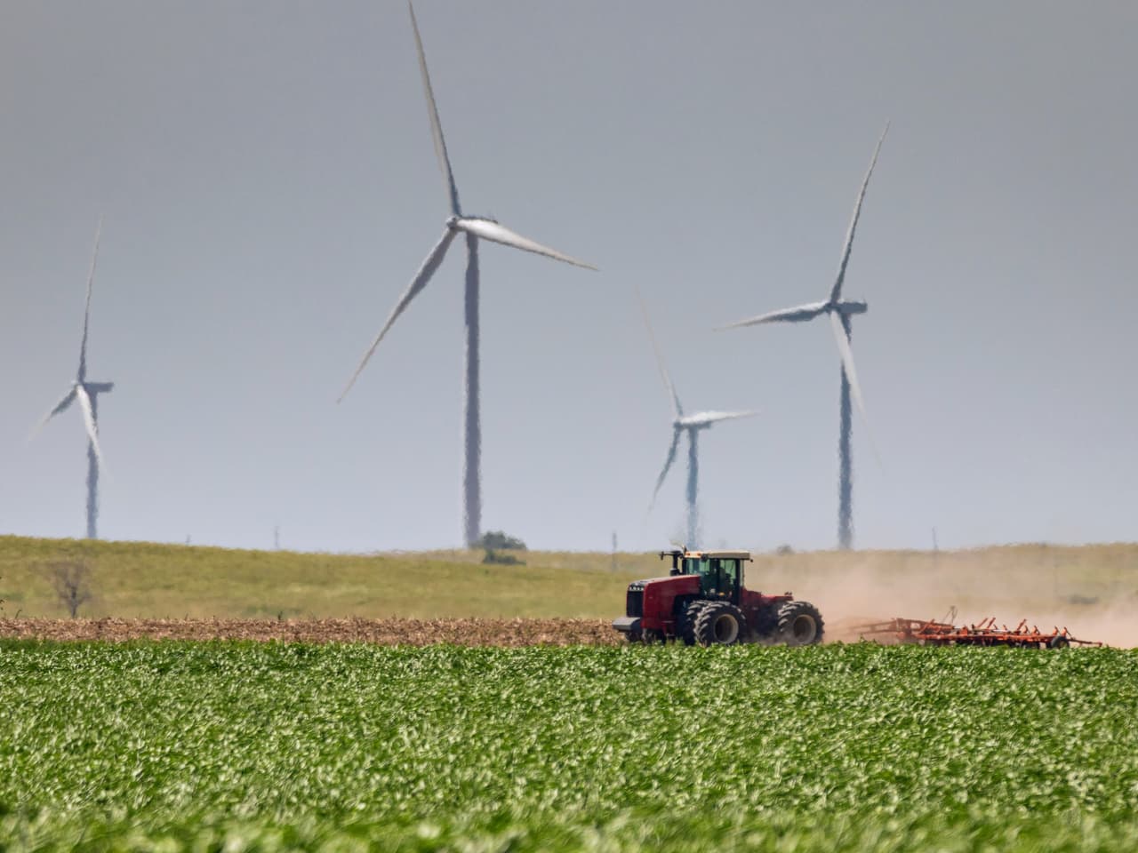 <b>Kansas.</b> Los viajeros de estados con muchos contagios deben someterse a cuarentena durante 14 días. Hasta el 10 de julio el Departamento de Salud del estado incluía en esta lista a Alabama, Arizona, Arkansas, Florida y Carolina del Sur. Los que han estado en cruceros o que llegan desde el extranjero también tienen que ponerse en cuarentena. En Kansas hay 605 contagios de covid-19 por cada 100,000 habitantes.