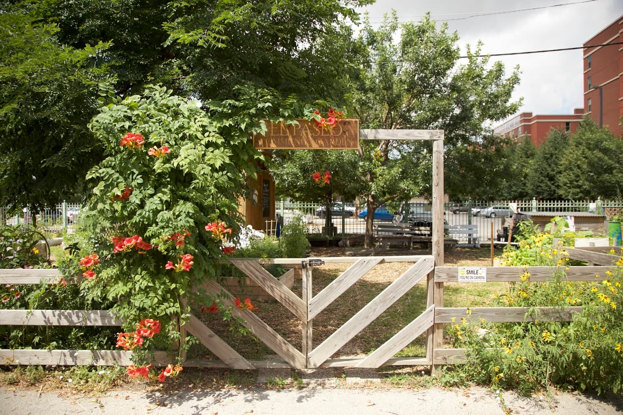 El Paseo Community Garden