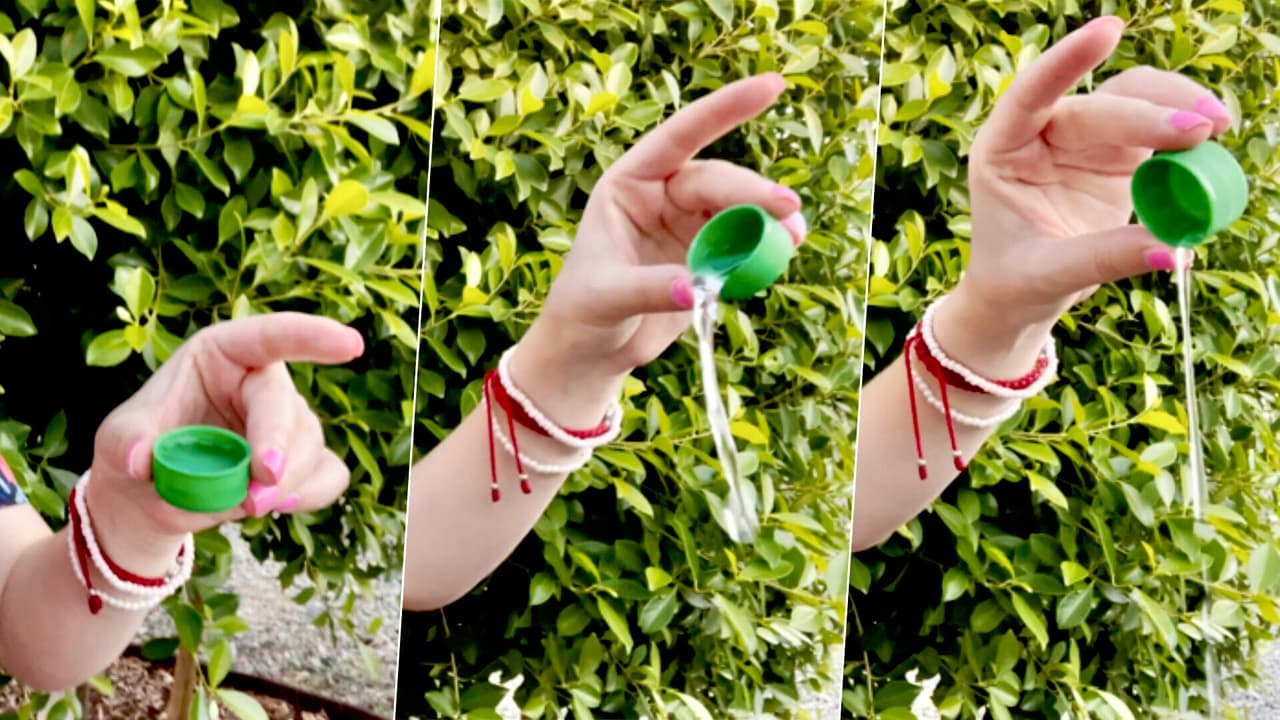 Advierten sobre el riesgo de acumulación de agua, incluso en una tapadera de soda, para la reproducción de cientos de moscos